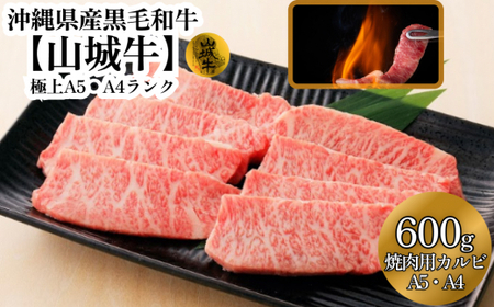 A5・A4ランク 沖縄県産黒毛和牛[山城牛]焼肉用カルビ600g