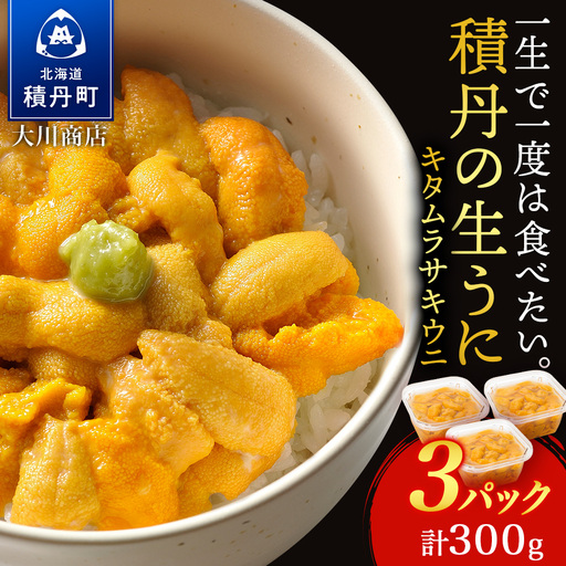 【2026年夏発送分】ムラサキウニ100g×3パック