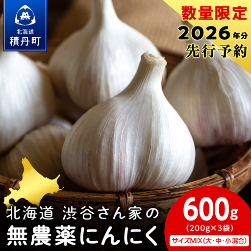 2026年分予約開始! [数量限定]渋谷さん家の「無農薬 にんにく MIXサイズ 200gx3袋」