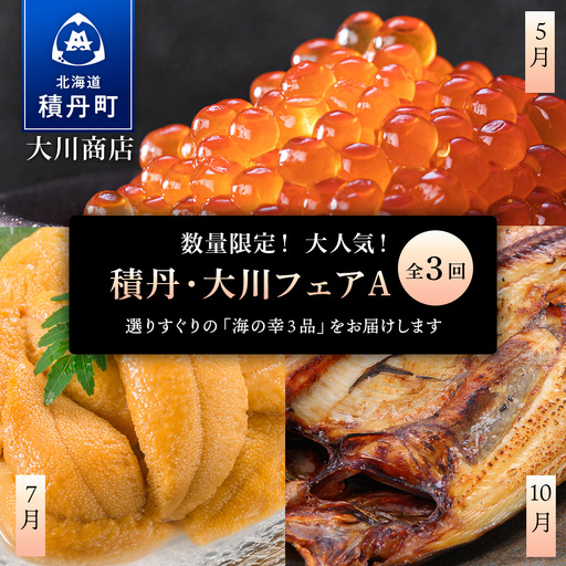 数量限定! 大人気!大川フェアA(全3回)[大川商店]
