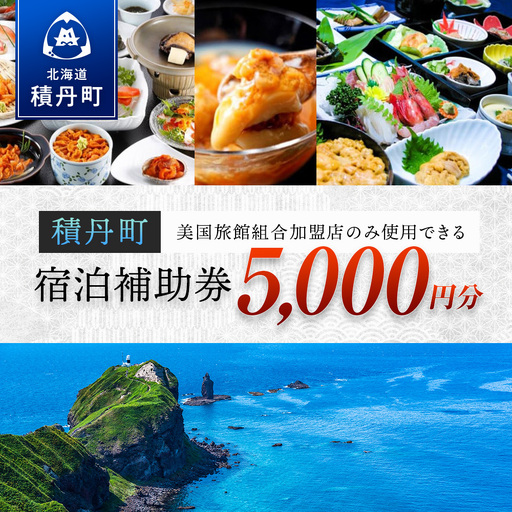 美国旅館組合 宿泊補助券 5,000点分