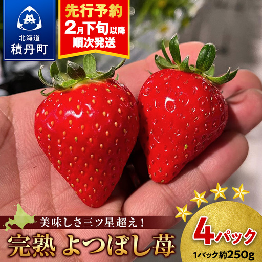 【2027年2月下旬以降発送】北海道産 完熟よつぼし苺(約250g×4パック)