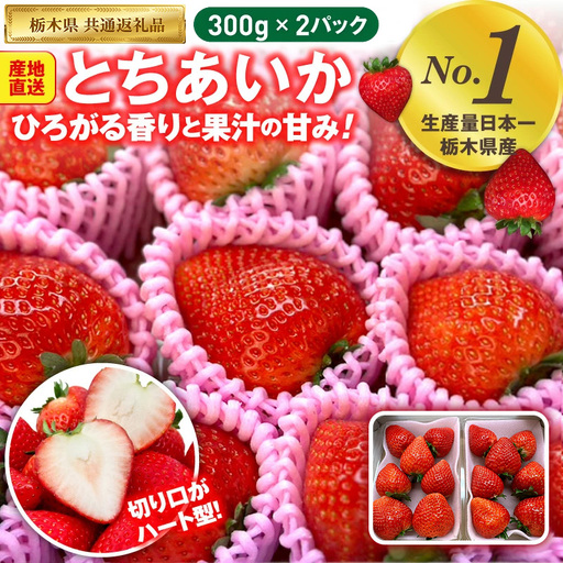 いちご とちあいか 300g×2パック【栃木県共通返礼品】 | いちご イチゴ 苺 とちあいか 生いちご 高級いちご 季節の果物 栃木県産 国産 農家直送 ギフト プレゼント お祝い お返し いちごギフト ※2026年12月～発送