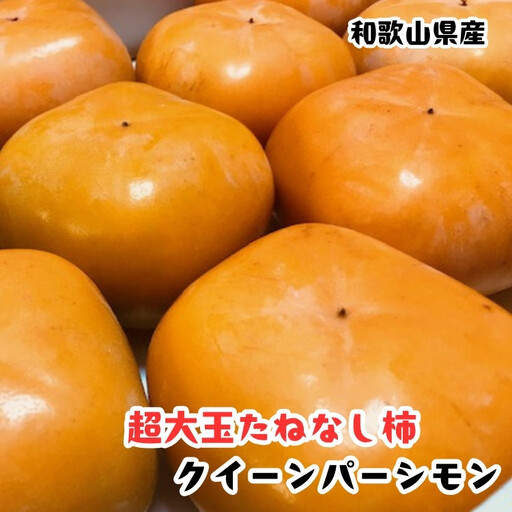 [柿のふるさと]とっても大きいサイズのたねなし柿 クイーンパーシモン 約4kg 4L〜7Lサイズ 青秀以上 [MS153]