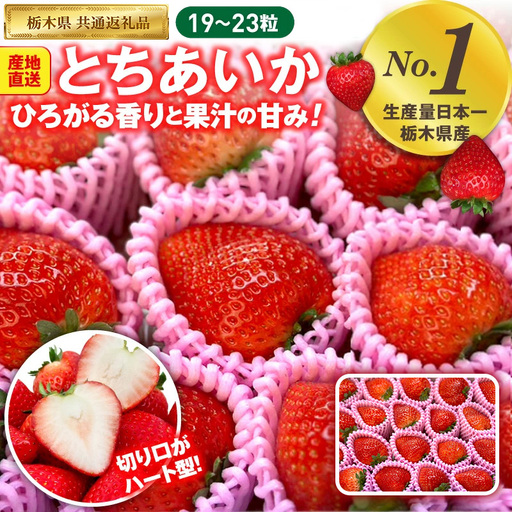 いちご とちあいか 19粒～23粒入【栃木県共通返礼品】 | いちご イチゴ 苺 とちあいか 生いちご 高級いちご 季節の果物 栃木県産 国産 農家直送 ギフト プレゼント お祝い お返し いちごギフト ※2026年12月～発送