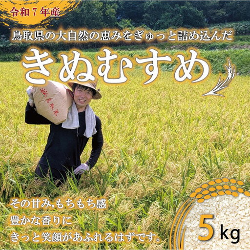 令和7年産　原田農園きぬむすめ 5kg きぬむすめ