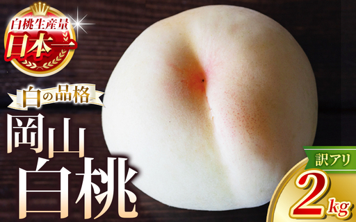 【訳あり】 桃 岡山県真庭市 訳あり清水白桃岡山県産桃2kg 訳あり  【hnds003】