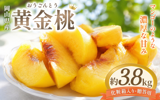 桃 岡山県産 化粧箱り黄金桃3.8kg [hnds010]