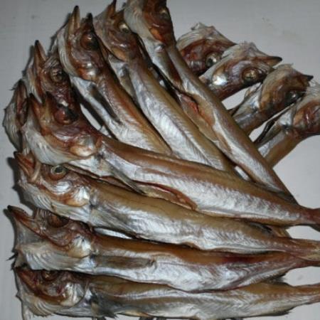 干したら 1.5kg[配送不可地域:離島]