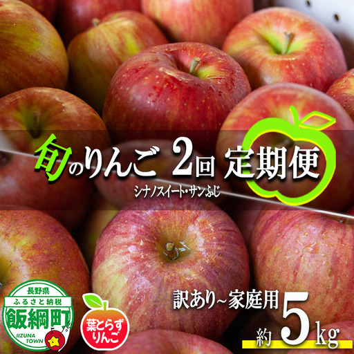 旬のりんご 【 定期便 】 家庭用 〜 訳あり 5kg × 2回 葉とらずりんご フレッシュフルーツミカズキ 沖縄県への配送不可 2026年10月中旬頃から2026年12月中旬頃までお申込み順に発送予定 令和8年度収穫分 リンゴ アップル シナノスイート サンフジ サンふじ 長野県 飯綱町 [2008]