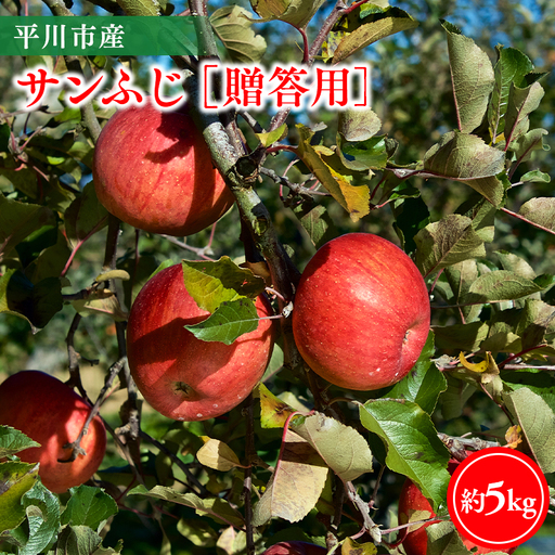 りんご 贈答用サンふじ5kg りんご