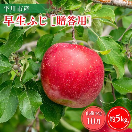 りんご 贈答用 早生ふじ5kg【hi-0064-011】