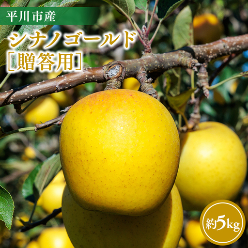 りんご 贈答用シナノゴールド5kg りんご