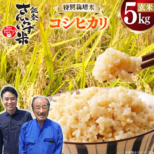 米 令和8年産 特別栽培米 コシヒカリ 5kg 玄米