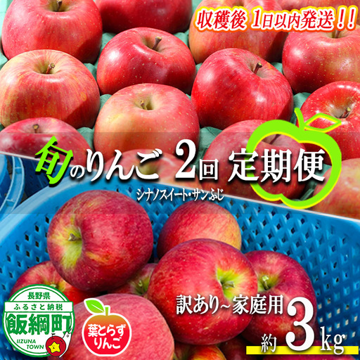 [ 定期便 / フレッシュ便 ] 旬のりんご 家庭用 〜 訳あり 3kg × 2回 葉とらずりんご フレッシュフルーツミカズキ 沖縄県への配送不可 2026年10月中旬頃から2026年12月中旬頃までお申込み順に発送予定 令和8年度収穫分 リンゴ アップル シナノスイート サンフジ サンふじ 長野県 飯綱町 [2010]