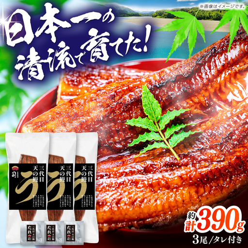 土佐料理司 三代目天の鰻蒲焼3尾セット (高知市春野町産) / 鰻 うなぎ ウナギ 蒲焼 うな重 国産 高知市 【株式会社土佐料理司】[ATAD089]