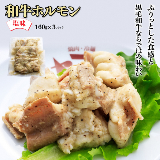 和牛ホルモン 塩味 3パック 肉 牛肉 和牛 ホルモン 塩 冷凍 焼肉 BBQ アウトドア バーベキュー C0612 岩手県 北上市 ヤマトフードサービス