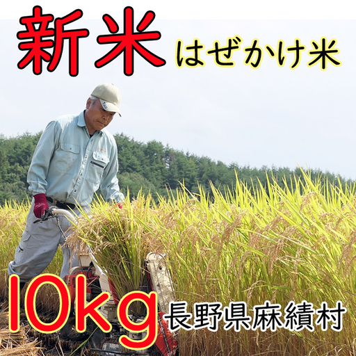 信州麻績産 はぜかけ米 数量限定 期間限定 10kg 自然乾燥 コシヒカリ 5kg +5kg 長野県 信州 麻績村 麻績