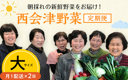 西会津野菜セット定期便（大）2回 F4D-1400