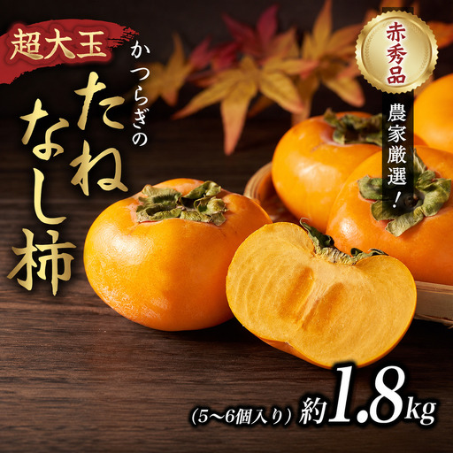 [先行予約]柿 種無し 超大玉 約1.8kg 5〜6個 [2026年9月下旬から10月下旬頃発送][BK004-kgr003A]