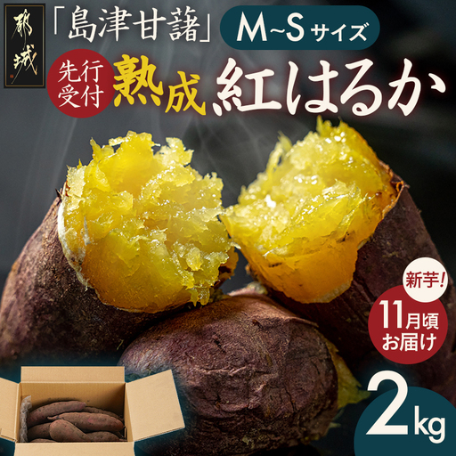 先行受付![11月お届け]島津甘藷 熟成紅はるか 2kg(M〜S)〔LB-A7-001-2kg-11〕_(都城市) さつまいも 幻のサツマイモ 幻の品種 紅はるか 2kg M〜S べにはるか 生芋 ベジエイト 熟成 芋 定番 焼き芋 アウトドア
