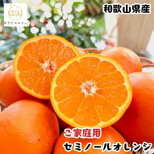 有田 育ちの爽快 セミノールオレンジ 家庭用 1kg+200g(補償分) / みかん 高級 くだもの 晩柑 柑橘 和歌山 ※2027年4月上旬〜5月下旬順次発送 ※北海道・沖縄・その他離島地域は発送不可[ard016-c-1C]