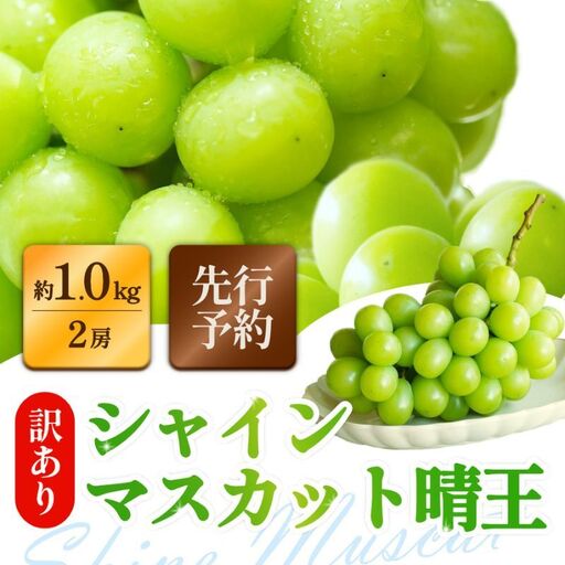 訳あり シャインマスカット 晴王 2房 合計1.0kg以上 ぶどう 葡萄 シャイン マスカット 岡山 岡山県産 桃太郎御一行 2026年 先行予約