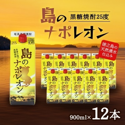 島のナポレオン900ml紙パック12本セット