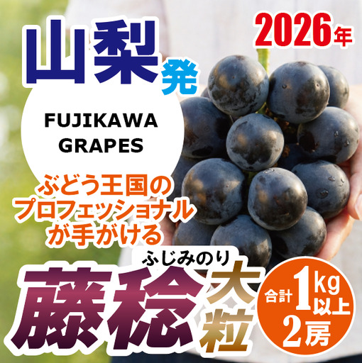 《圧倒的な大粒品種！》上級品をお得に 【藤稔（ふじみのり）】　1.0kg以上（2房）　【2026年発送分 先行予約】- FUJIKAWA GRAPES -