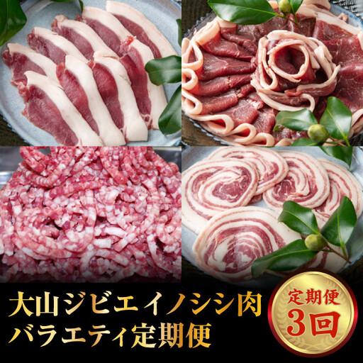 GB-26　大山ジビエイノシシ肉バラエティ定期便（3回コース）