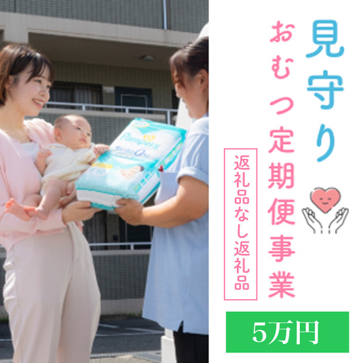 令和8年度見守りおむつ定期便事業[返礼品なし/5万円] [0603]