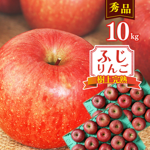 令和8年産 樹上完熟 りんご 10kg 秀品 「ふじりんご」 2026年産 山形県産【2026年11月下旬頃から12月下旬頃発送予定】　034-B-NG014