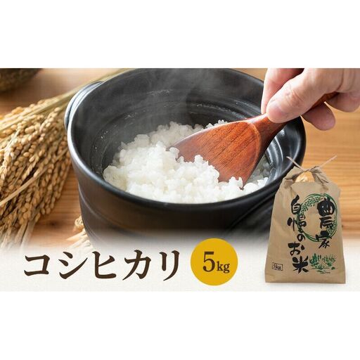 コシヒカリ 10月お届け 5kg コシヒカリ