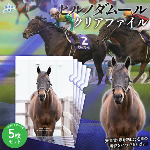 【ヒルノダムール】クリアファイル 写真5枚入り BRTV303