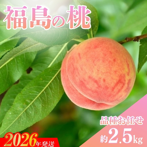 No.3346 福島の桃 品種お任せ 約2.5kg(8～10玉)【2026年発送】