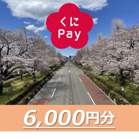 国立市デジタル地域通貨『くにPay』6,000ポイント【1587148】
