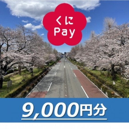 国立市デジタル地域通貨『くにPay』9,000ポイント【1587149】