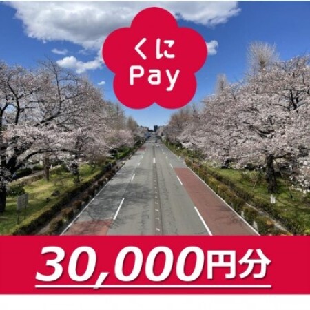 国立市デジタル地域通貨『くにPay』30,000ポイント【1587151】