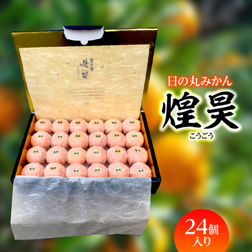 [先行受付]日の丸みかん「煌昊(こうごう)」24個入/個包装/手詰め/高糖度/光センサー使用[G79-1][1451576]Y