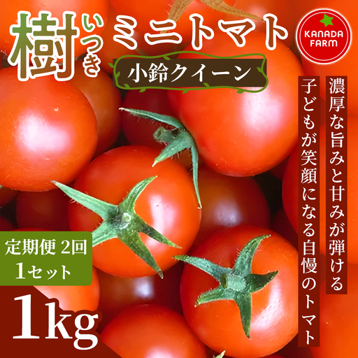 [先行予約][定期便2ヶ月]樹(いつき)ミニトマト(小鈴クイーン)1kg 定期便発送 新鮮野菜 フルーツ 旬 サラダ デザート お弁当 朝食 料理用 そのまま食べる おうちごはん お取り寄せ 産地直送 贈り物 手土産 愛知県 豊橋市