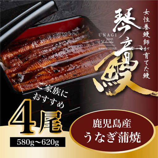 国産 うなぎ 蒲焼き（鹿児島県産） 4尾 (580〜620g) 【国産100％ 鰻 ウナギ 蒲焼 土用丑の日 丑の日 冷凍 魚介 海鮮 おかず お祝い ご褒美 贅沢 おすすめ 人気 花立山養鰻 福岡県 筑前町 HY003】【価格改定】