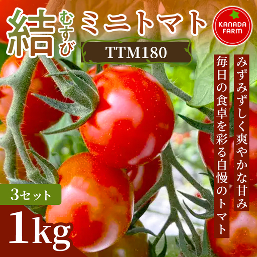 [先行予約]結(むすび)ミニトマト(TTM180)1kg 3セット 新鮮野菜 フルーツ 旬 サラダ デザート お弁当 朝食 料理用 そのまま食べる おうちごはん お取り寄せ みずみずしく爽やかな甘み 産地直送 贈り物 手土産 愛知県 豊橋市