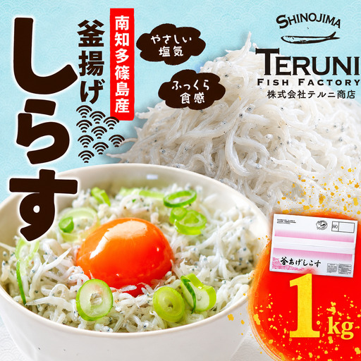 釜揚げ しらす 1kg 冷凍 テルニ商店 SIRASU 人気シラス 愛知県 南知多町 ご飯 ごはん 離乳食 丼 料理 国産 シラス 栄養 人気 おすすめ しらす ごはん パスタ トーストしらす丼 晩御飯 酒 の肴 簡単調理 万能 ふるさと納税 米 に合う こめ に合う コメ あう おいしい 栄養豊富 おすすめ