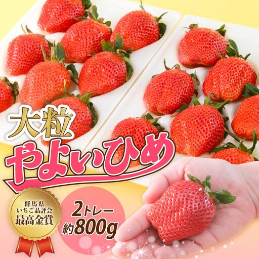 [大粒サイズ]いちご やよいひめ 約800g | いちご
