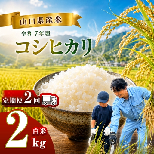 [ 定期便 ] 令和7年産 山口県産米 コシヒカリ 2kg 2回