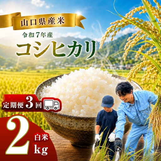 【 定期便 】 令和7年産 山口県産米 コシヒカリ 2kg 3回