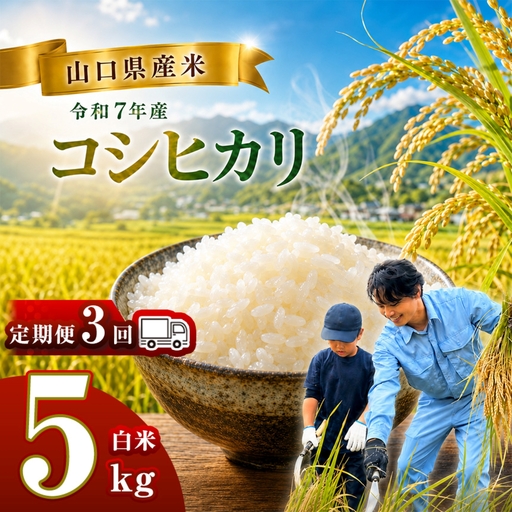 【 定期便 】 令和7年産 山口県産米 コシヒカリ 5kg 3回