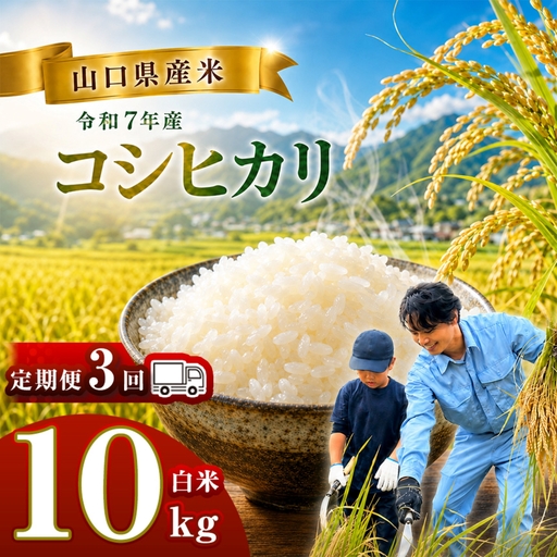 【 定期便 】 令和7年産 山口県産米 コシヒカリ 10kg 3回