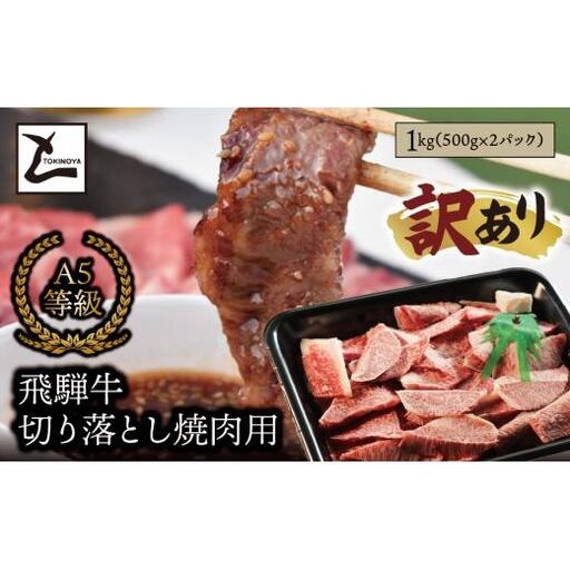 【訳あり】A5 飛騨牛 切り落とし 焼肉用 1kg（500g×2パック）｜岐阜県産 国産 黒毛和牛 ブランド牛 霜降り 不揃い 冷凍 贅沢 高級肉 おすすめ 人気 トキノ屋食品