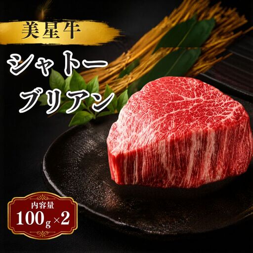 岡山県産黒毛和牛『美星牛』 濃厚シャトーブリアン 100ｇ×2枚(200g) 岡山県 黒毛和牛 美星牛 ステーキ 数量限定 ご褒美 ギフト  国産 牛肉【msmt004-01】